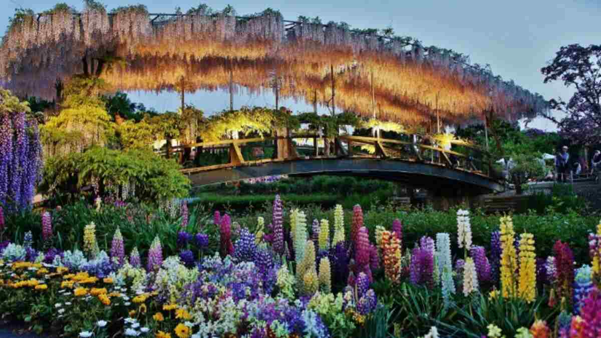 Ashikaga Çiçek Parkı